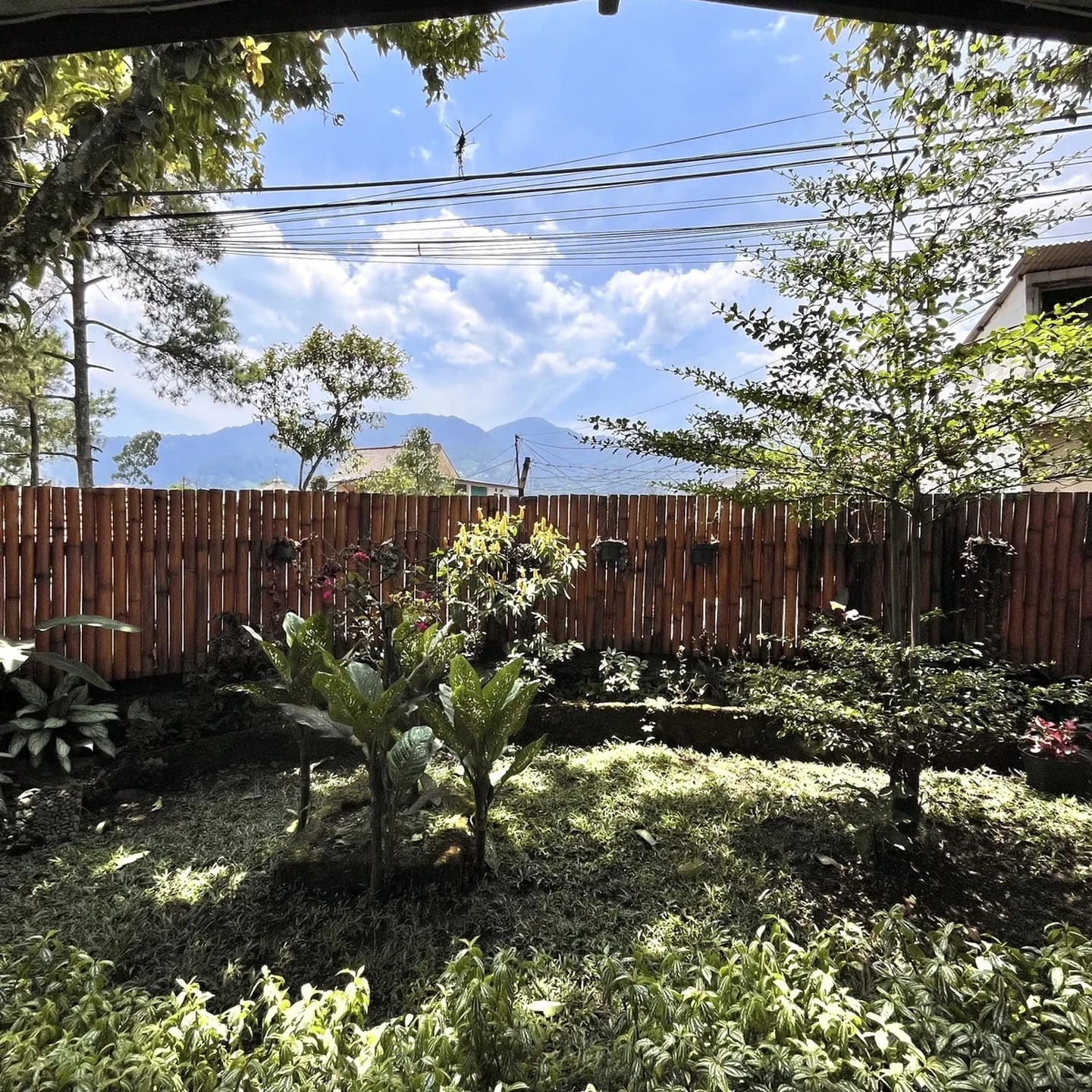 Foto 5